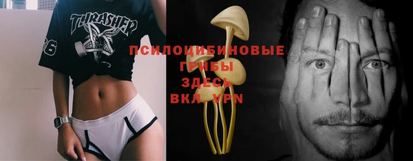 ешки Богородицк
