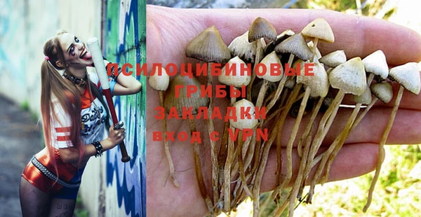 ешки Богородицк