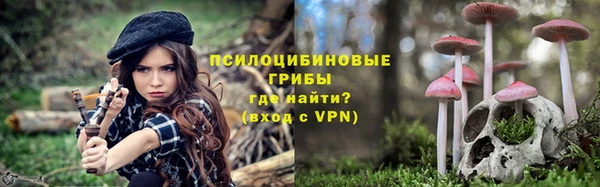 ешки Богородицк