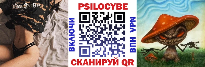 Псилоцибиновые грибы Cubensis  магазин продажи наркотиков  Нижний Тагил 